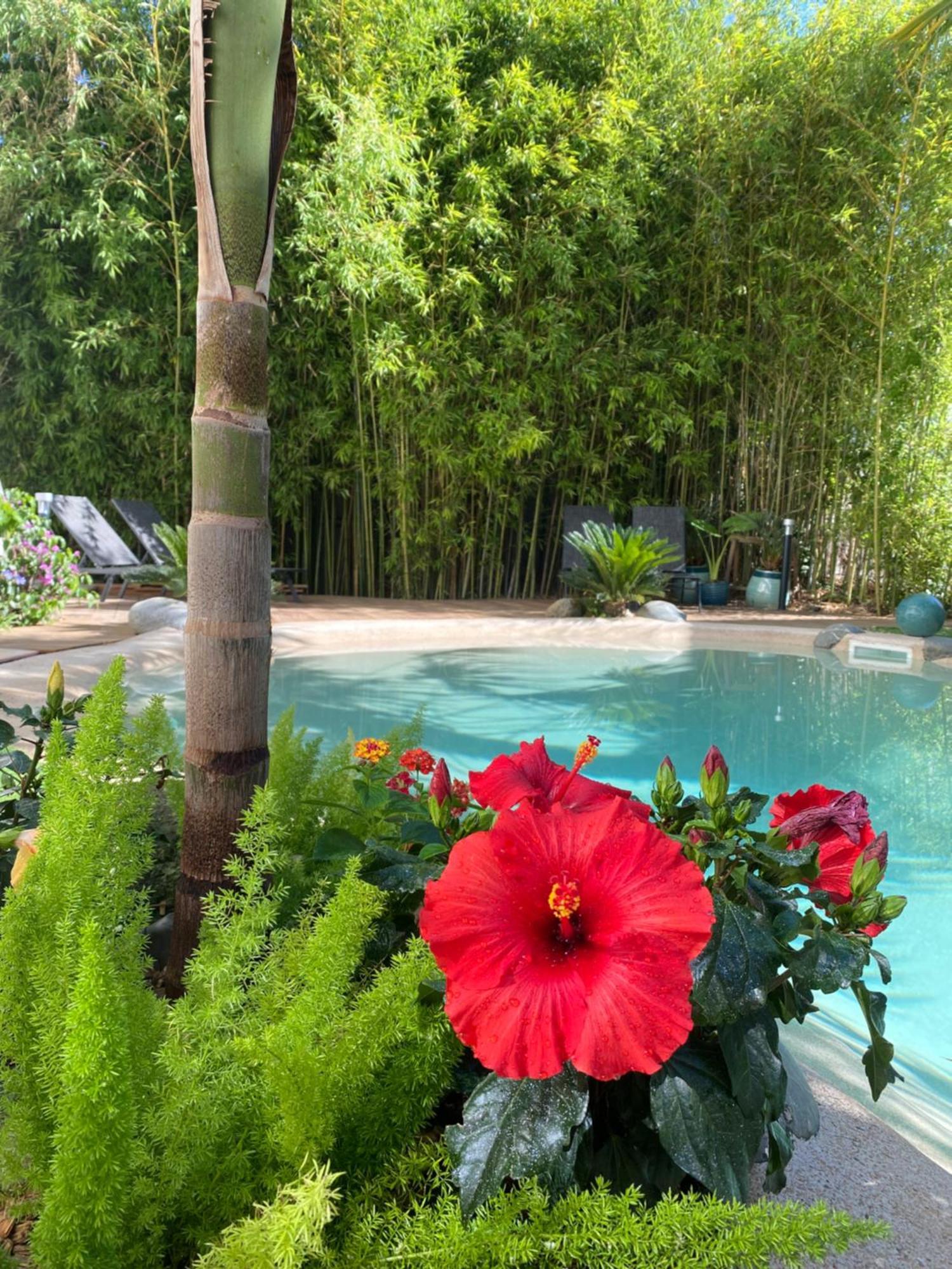 Appt Ambiance Boheme 2 Ch Piscine Lagon Apartment Тарб Екстериор снимка